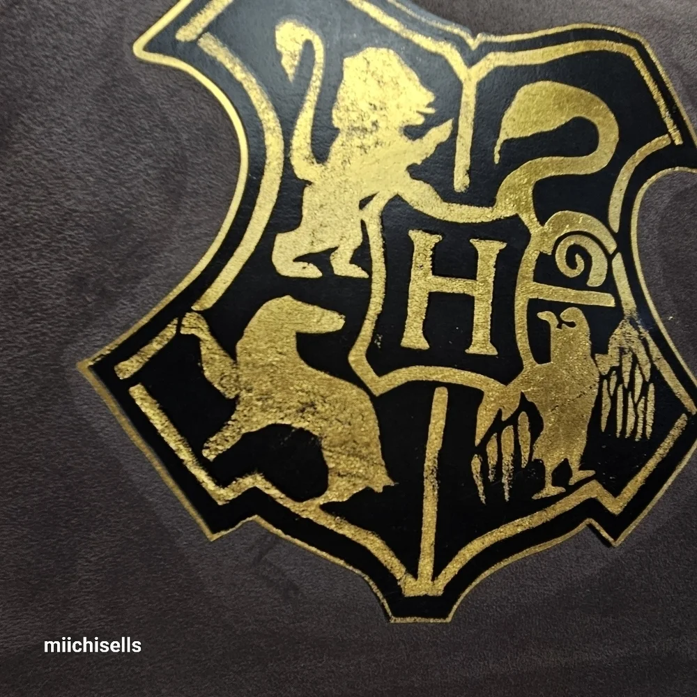 Harry Potter pillow